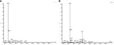 Quorum Quenching-Guided Inhibition of Mixed Bacterial Biofilms and Virulence Properties by Protein Derived From Leaves of Carissa carandas